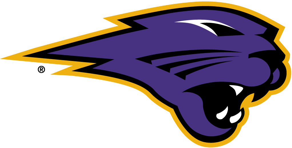 Northern Iowa Panthers 2002-Pres Partial Logo v4 diy fabric transfer